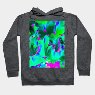 Green cactus in pastel abstract Hoodie